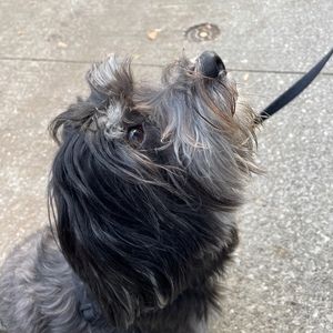 Meet your Posher, Lena